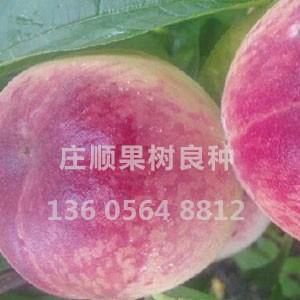 優(yōu)系F